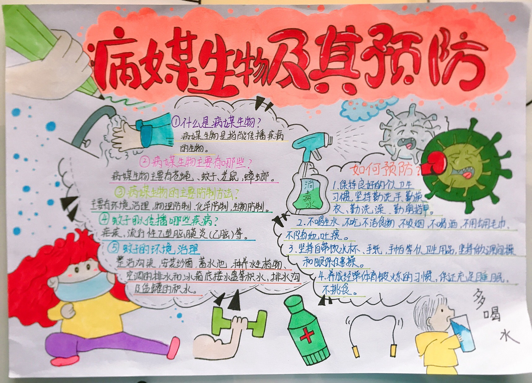病媒生物及其预防手抄报