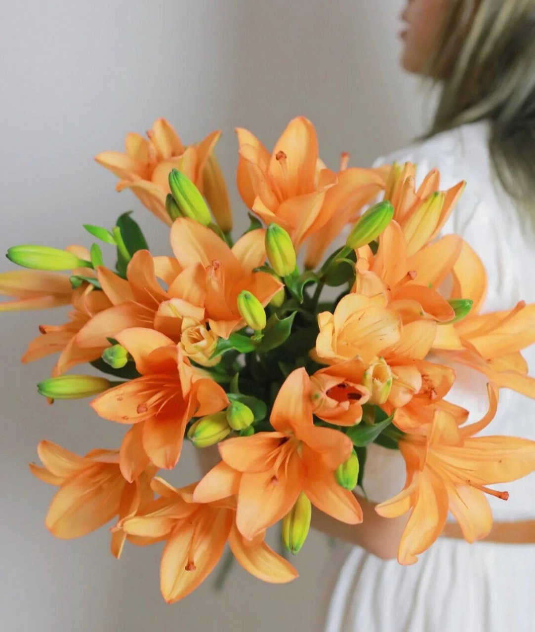 亚百合 00每日一花|《橙色梦想亚百合》 橙色梦想,橙色亚百合的代表
