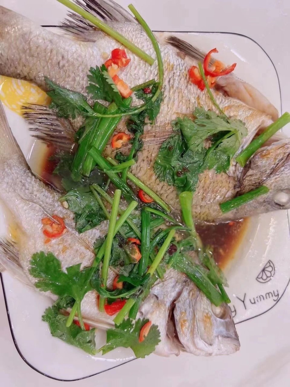 湛江海立鱼,非常肥美 ,肉质鲜嫩 立鱼,非常肥美 立鱼95肉质还很细嫩