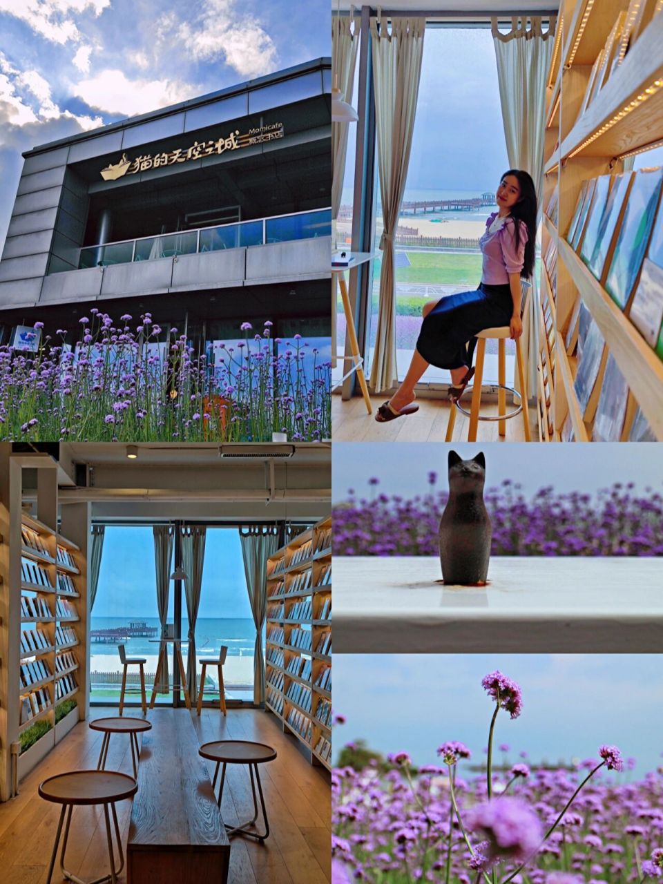 秦皇岛97蔚蓝海岸bi打卡91猫的天空之城 上篇说到蔚蓝海岸也是