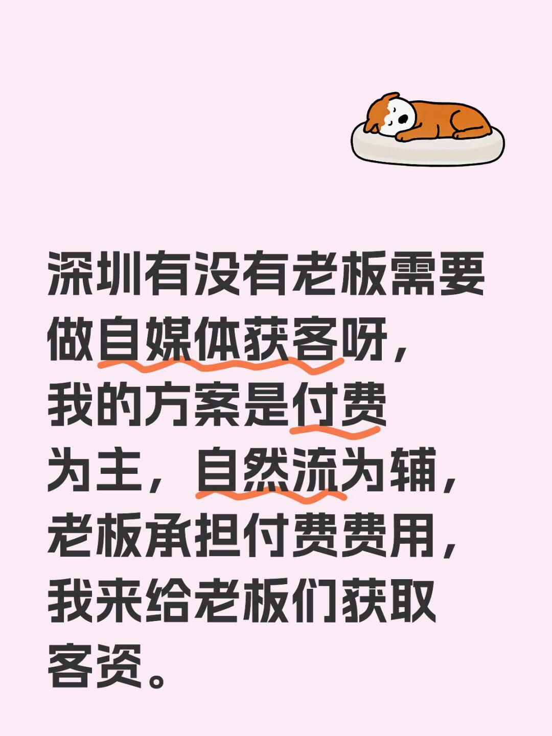 来来来,深圳老板要通过自媒体获客的看过来