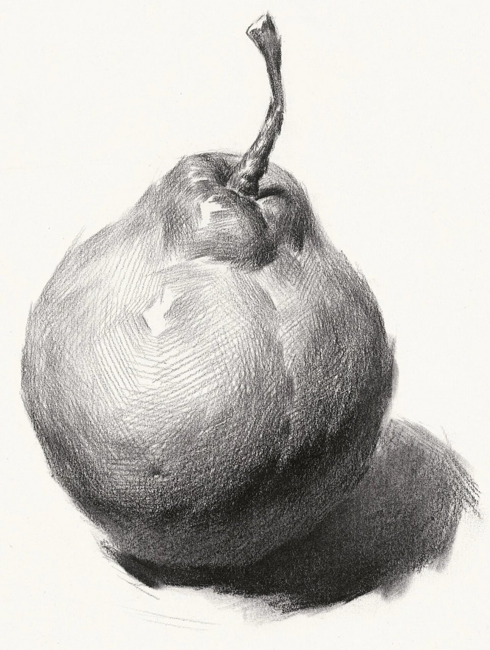 素描基础干货教学(梨) 梨子与苹果一样,也是静物考试中常见的题材.