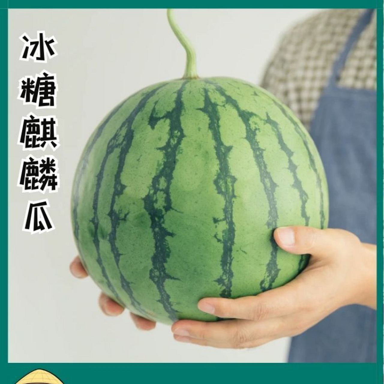 9】当季西瓜水果新鲜8424麒麟西瓜3—4斤    好吃的麒麟西瓜,爱吃的不