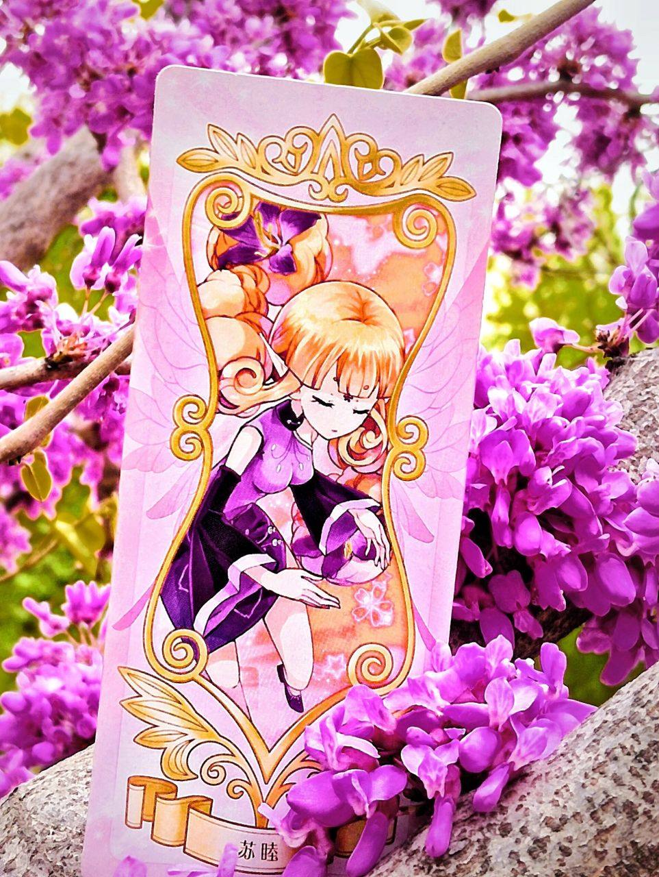 伟大的普普拉花神见证 我以花之法典拥有者的名义与你缔结盟约——苏