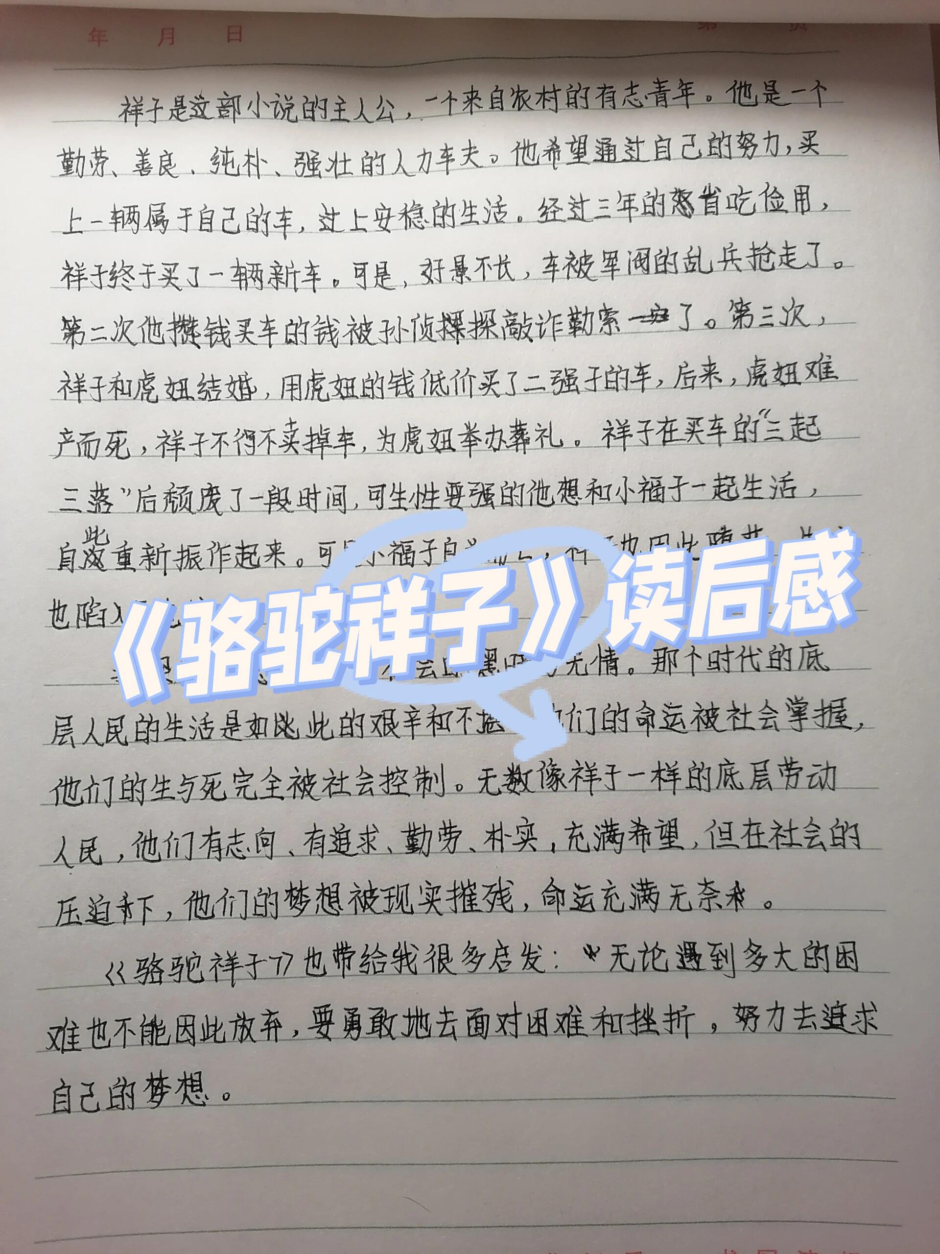 冬阳童年骆驼队读后感图片