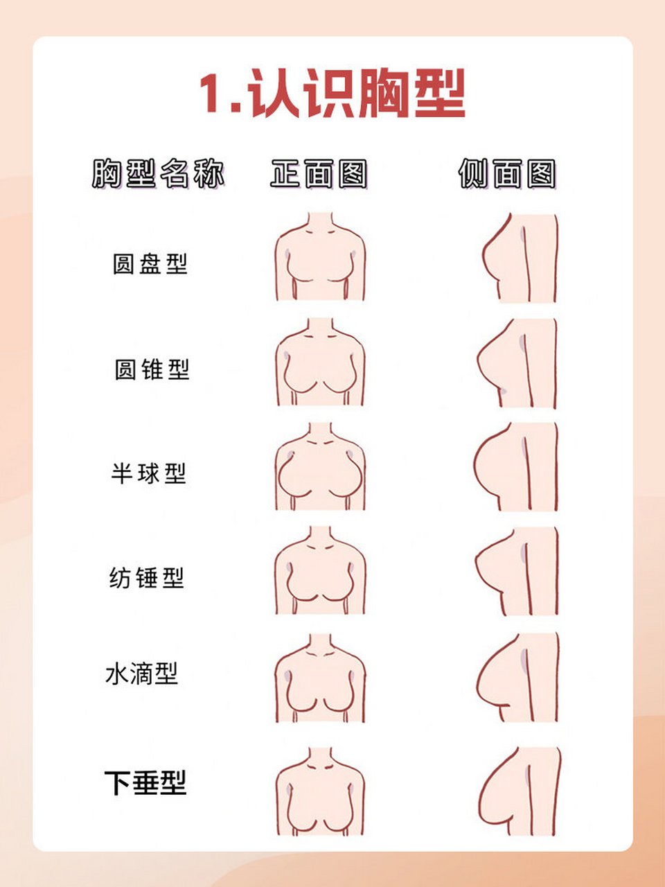 乳房分布比较平均,形状像一个平面圆盘,适合穿带有托矫功能的文胸以