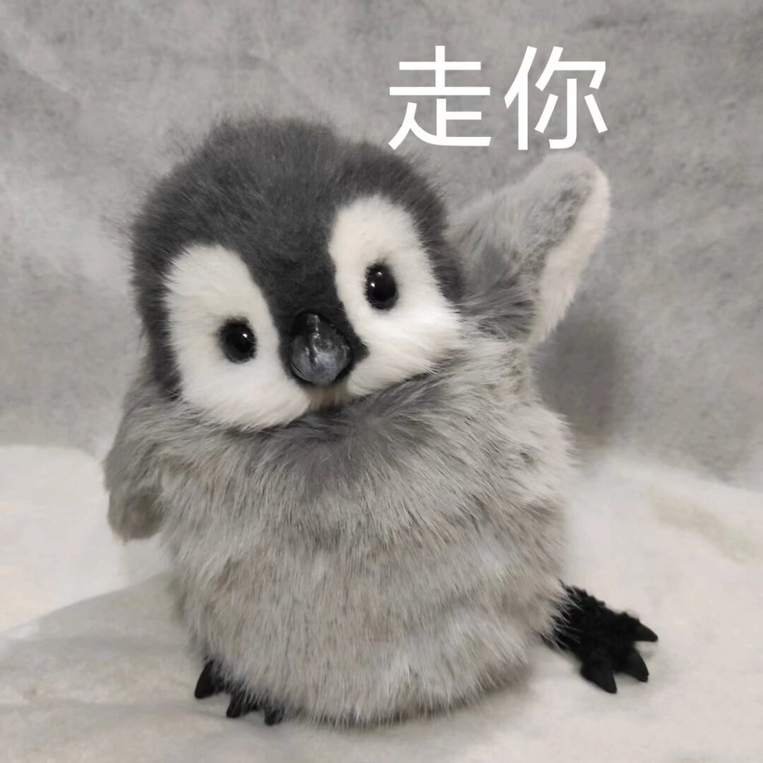 小企鹅的表情包(第1弹