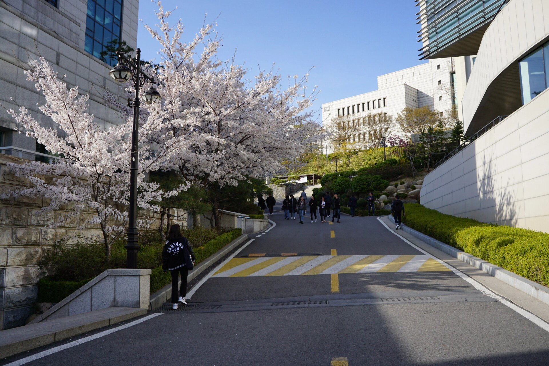 韩国的mit-汉阳大学(校园实景) 汉阳大学是一所本部位于韩国首尔的