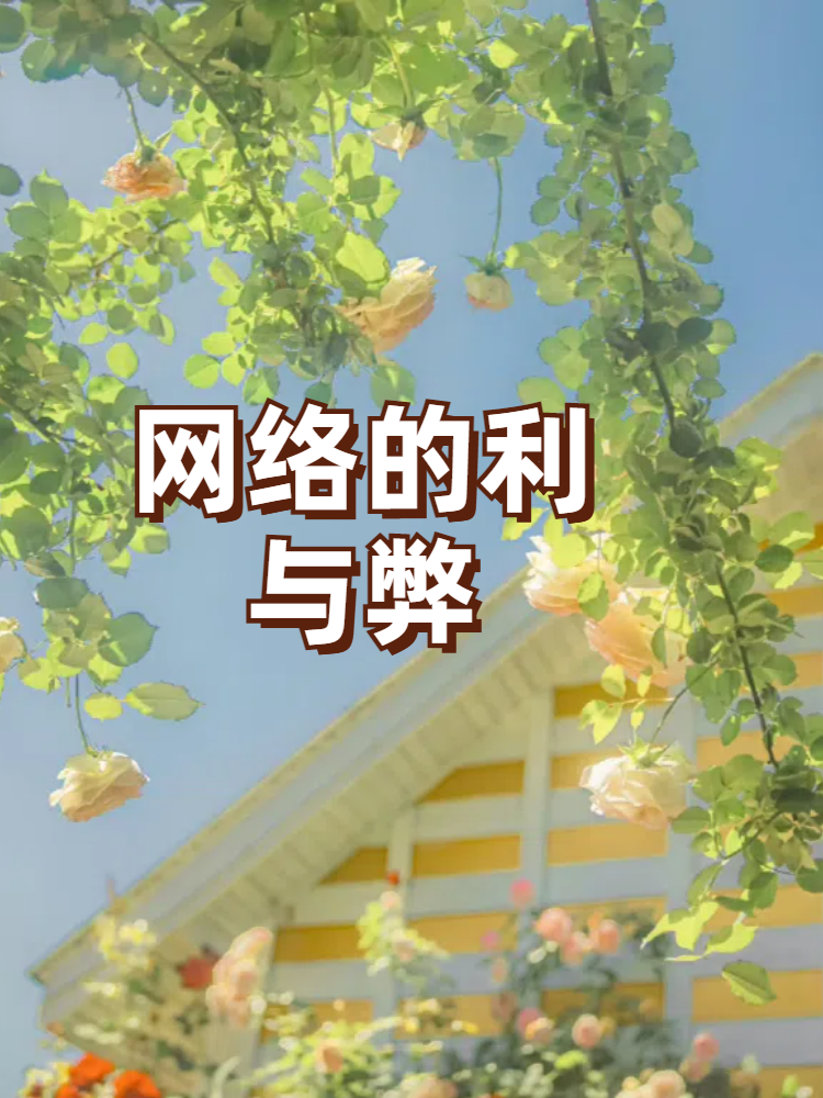 网络的利与弊