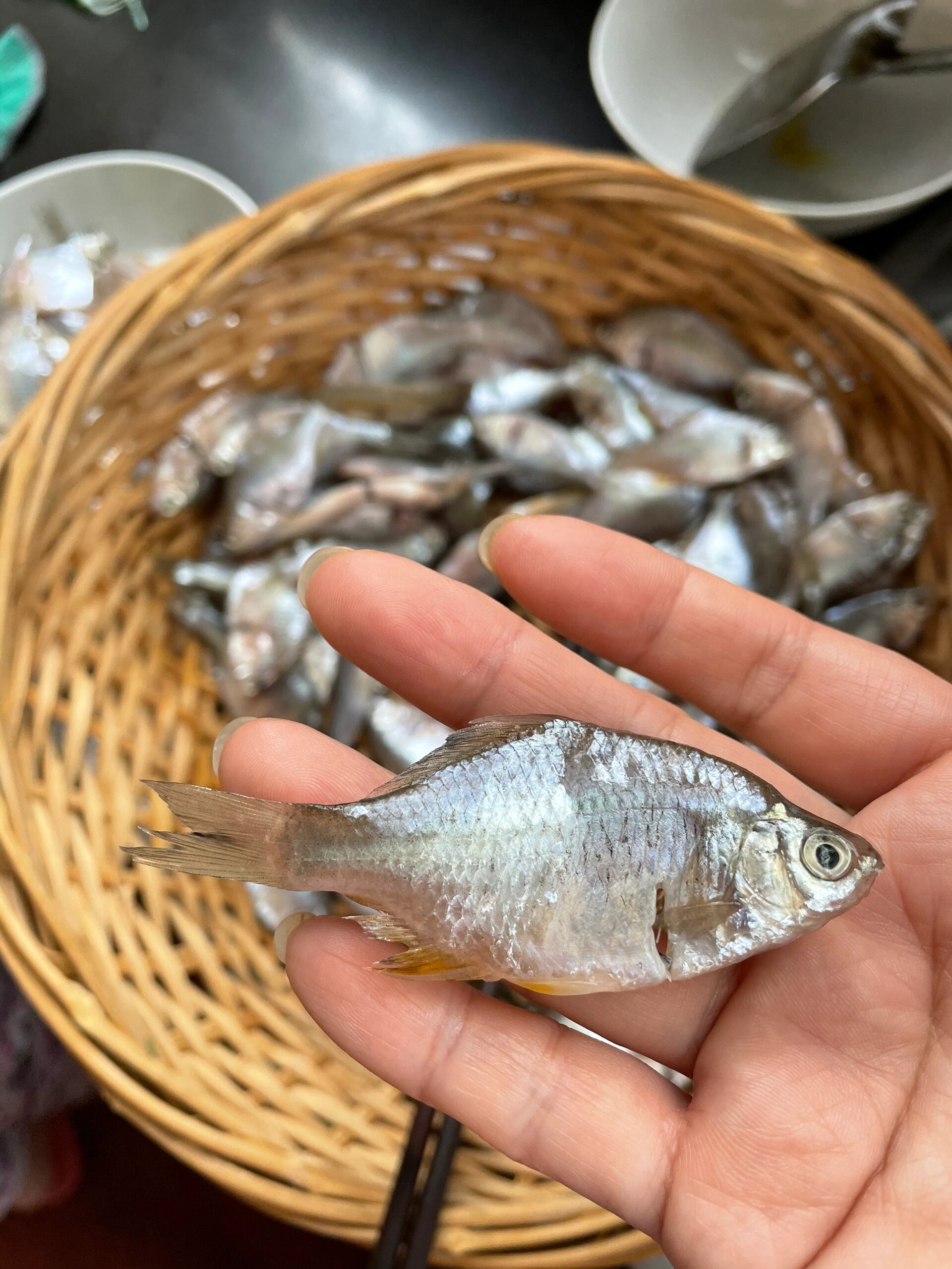 费时费力但美味的鳑鲏鱼吃过吗? 湖州费爸妈的菜