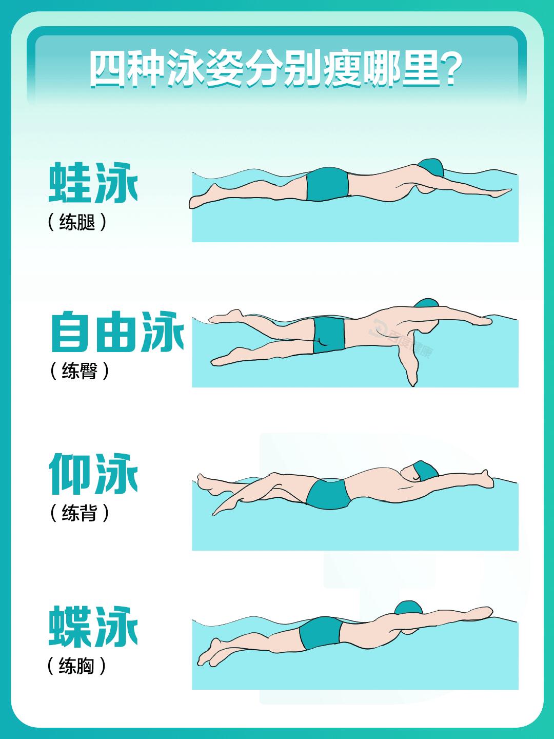 游泳有几种游法图片