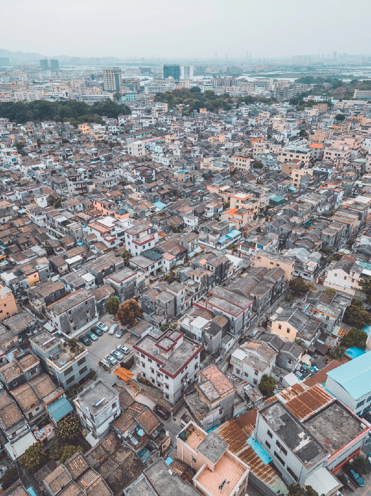 中山沙溪圣狮村 | 珠三角最美的乡村 中山沙溪镇的"圣狮村",被誊为"珠