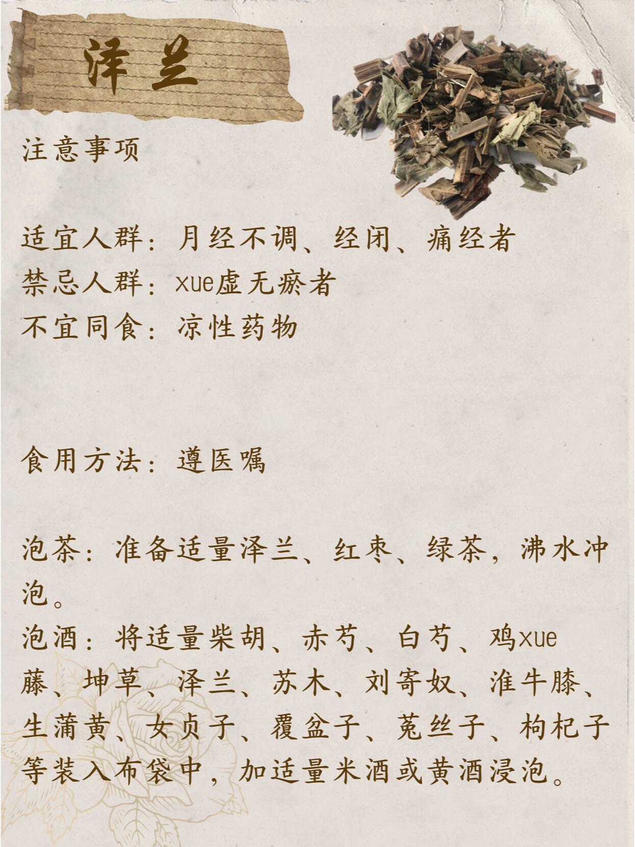 泽兰根的功效与作用图片