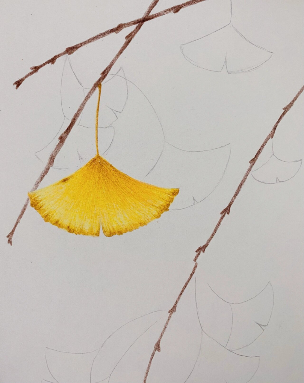 彩铅《银杏叶》 主题《银杏叶》 适合10岁以上的学生 工具:辉柏嘉水性
