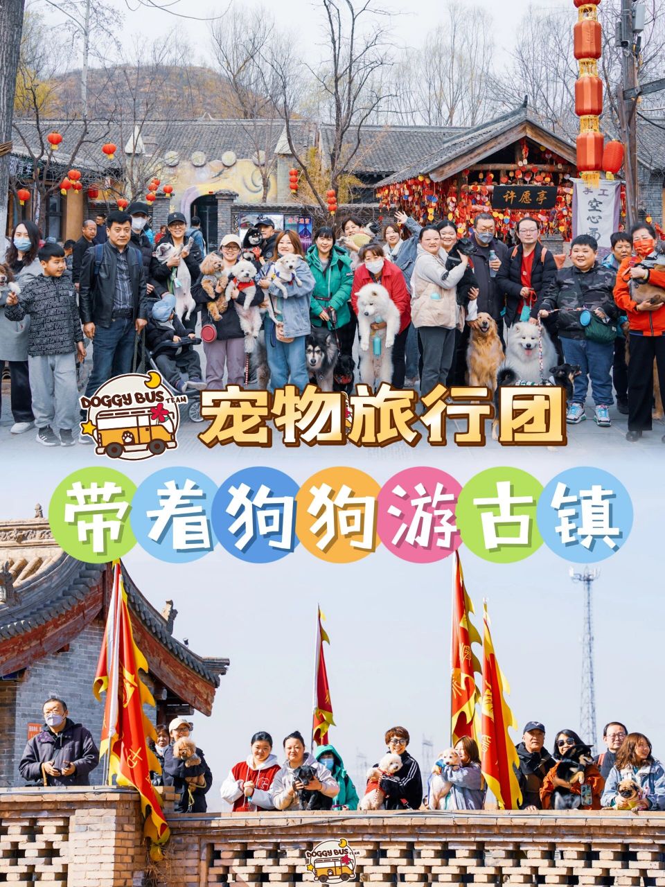 宠物旅行团|带着狗狗游古镇青砖旧瓦忆时光 老城墙旧瓦片时光里的小小