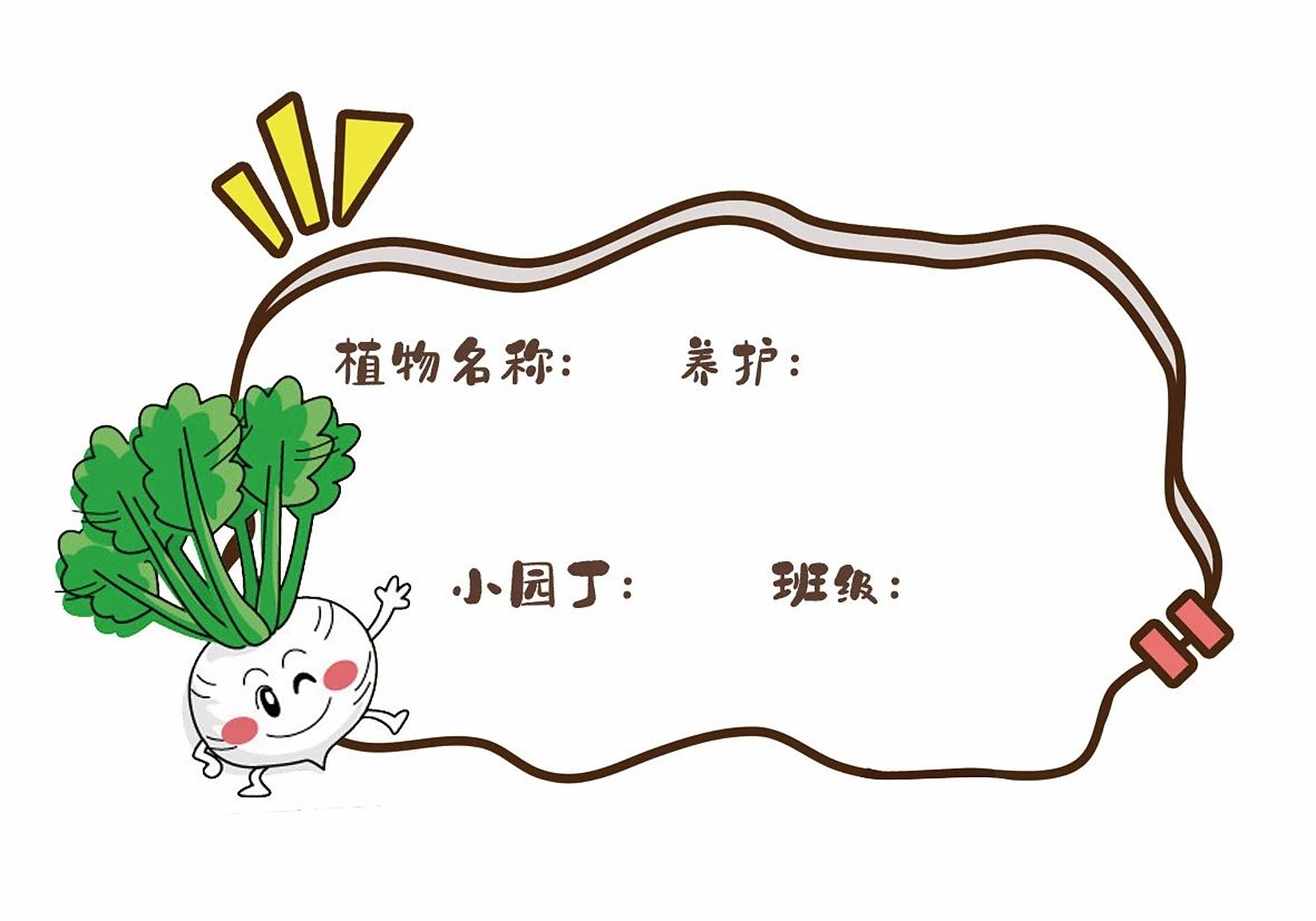 水培蔬菜们de可爱标签9515 幼儿园让小朋友观察植物的生长过程