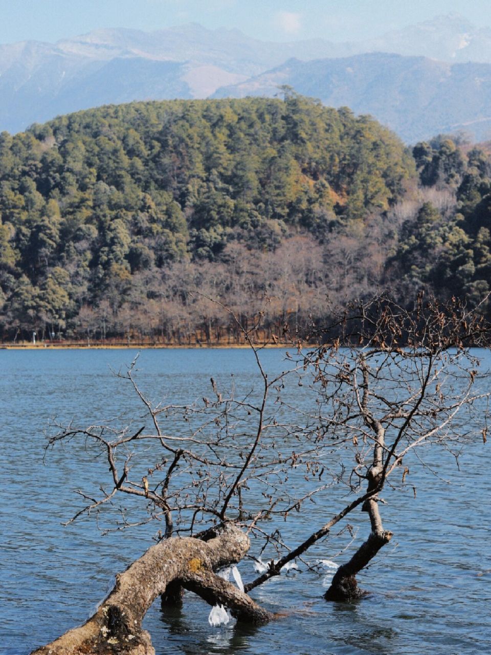我发现了大凉山的秘境 92彝海景区 98四川省凉山彝族自治州冕宁县