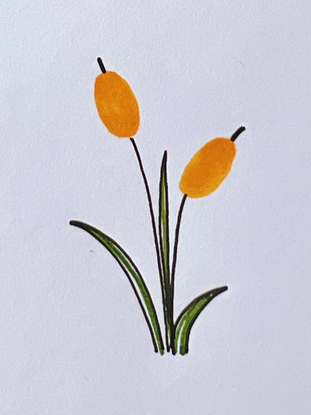 简笔画 芦苇小花@困成憨憨面包的动态