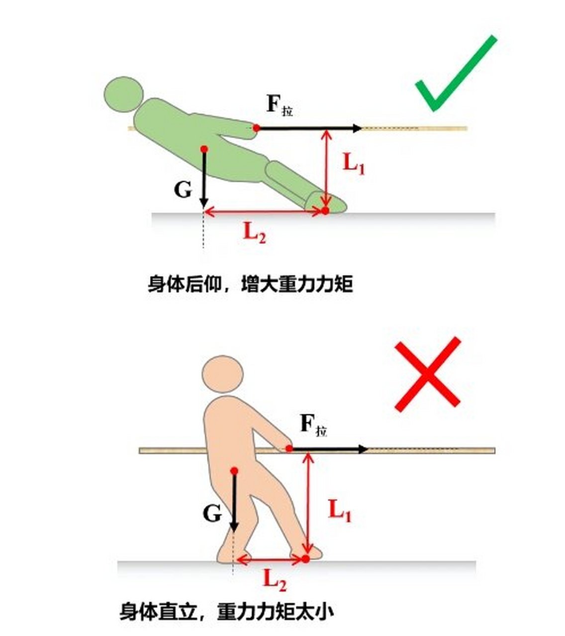 冷知识拔河不止跟体重有关,还跟杠杆有关