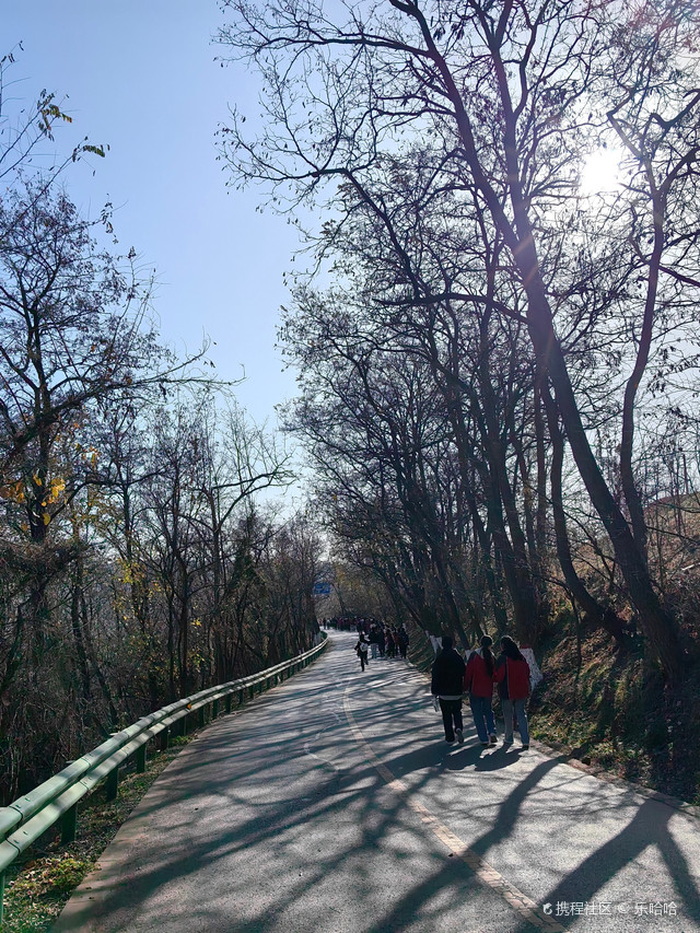 超强攻略_玩转西安洪庆山国家森林公园之行