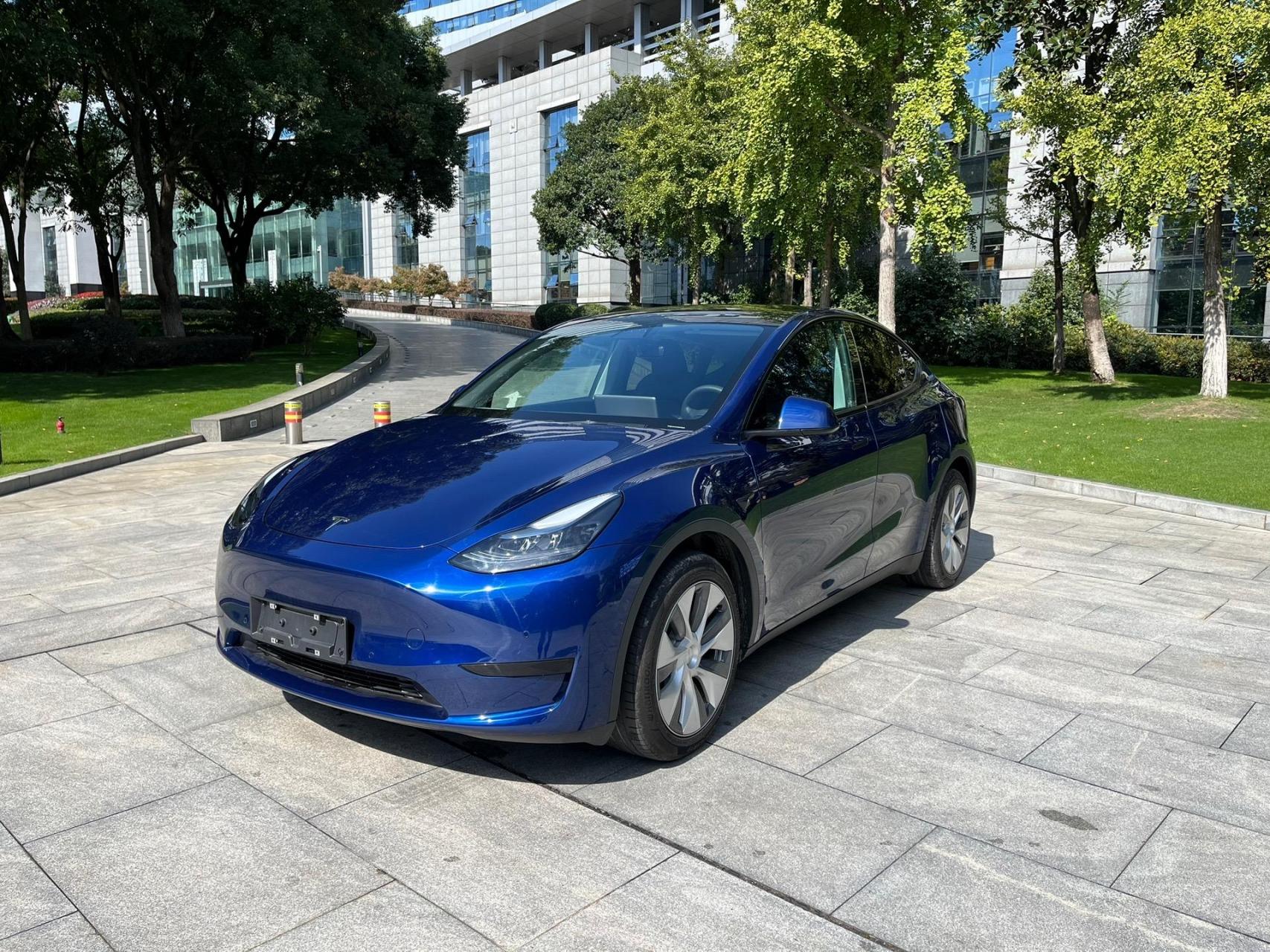 蓝色特斯拉毛豆y.