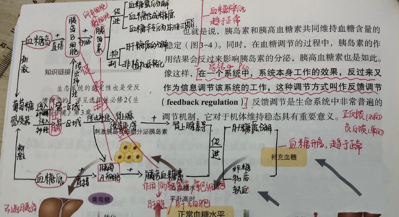 思维导图 生物选修一第三章