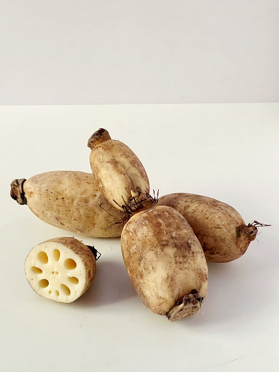 绘画素材|莲藕合集(一)