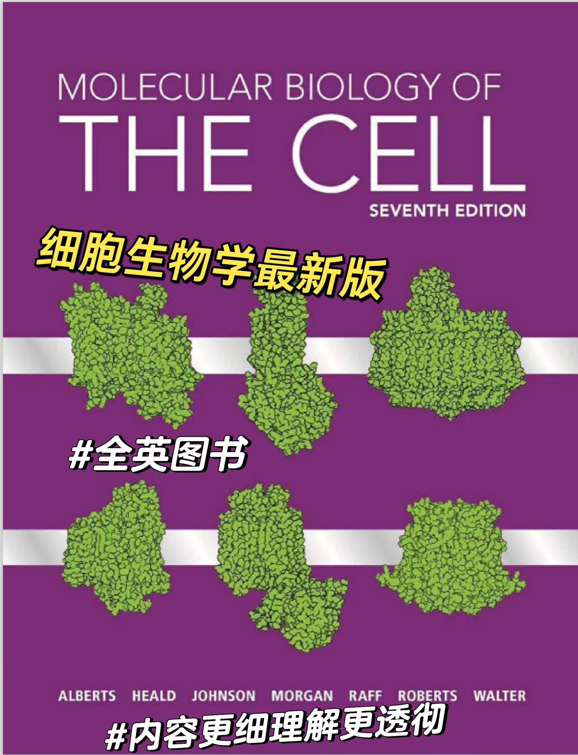 molecular biology of the cell 细胞生物学 第七版教材 最新版本