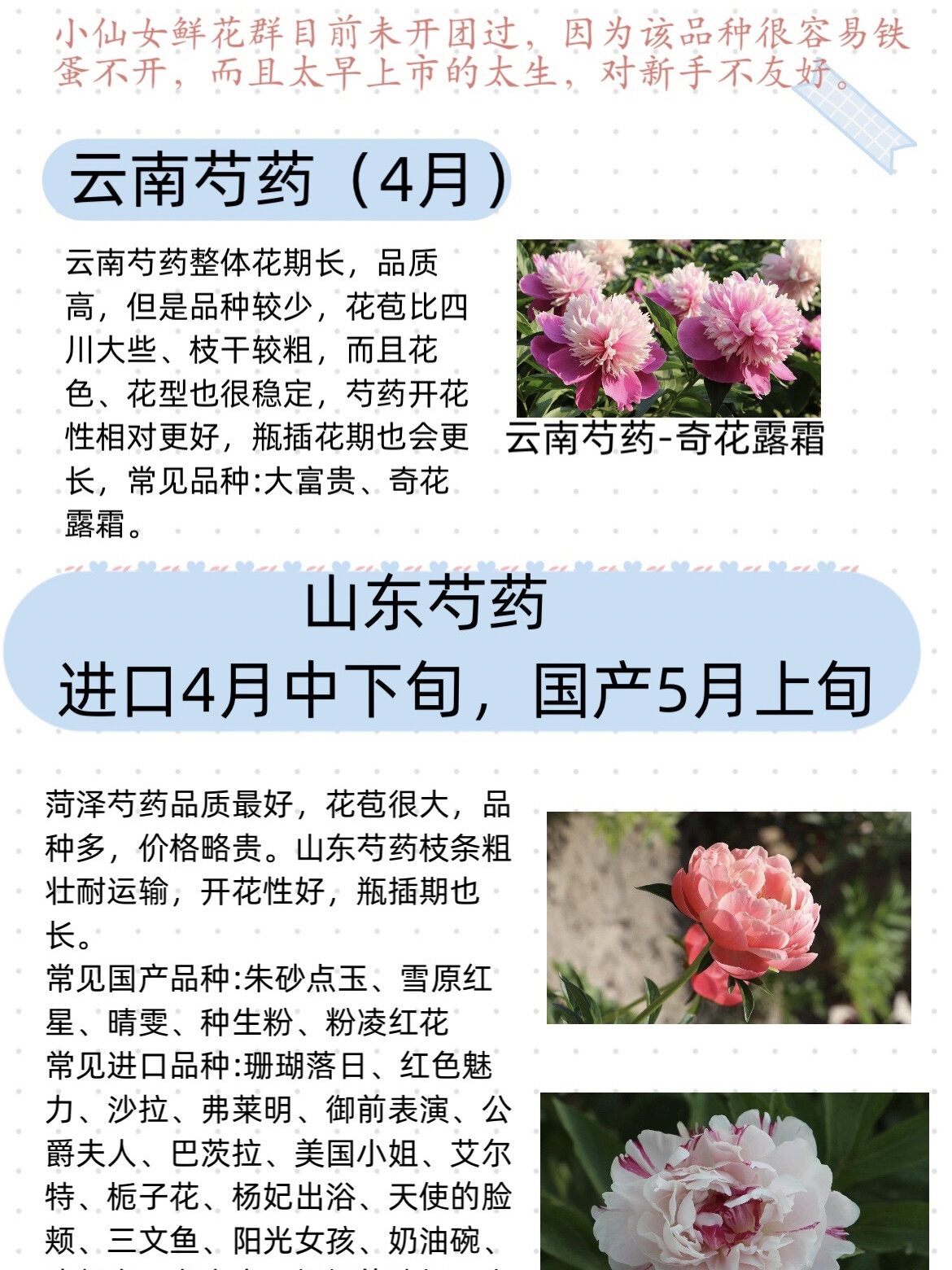 不同产地芍药知识get起来!选最适合仙女们的一款!