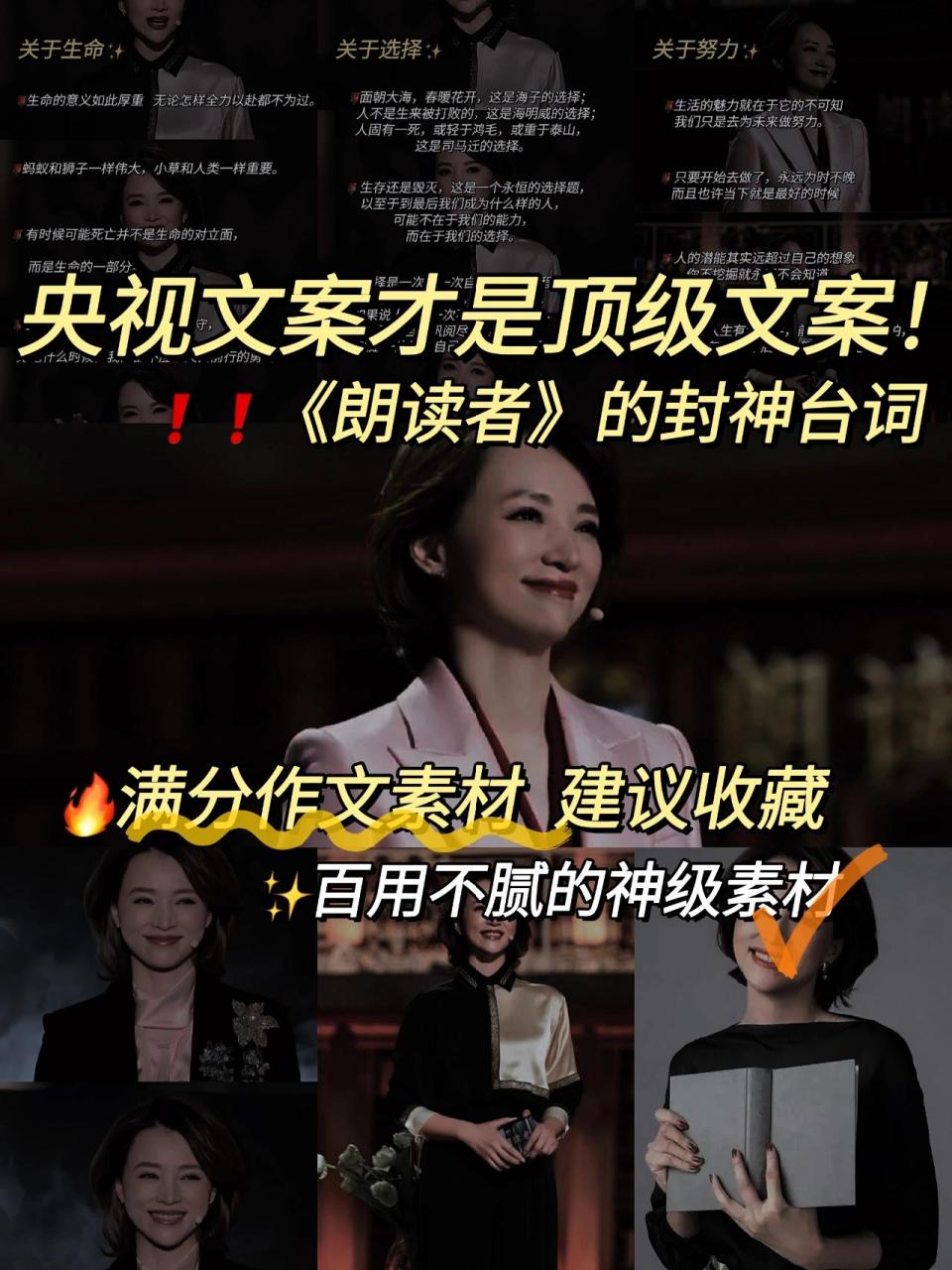 央视顶级文案摘抄75董卿口中的盛世中华 这段时间在看《朗读者》