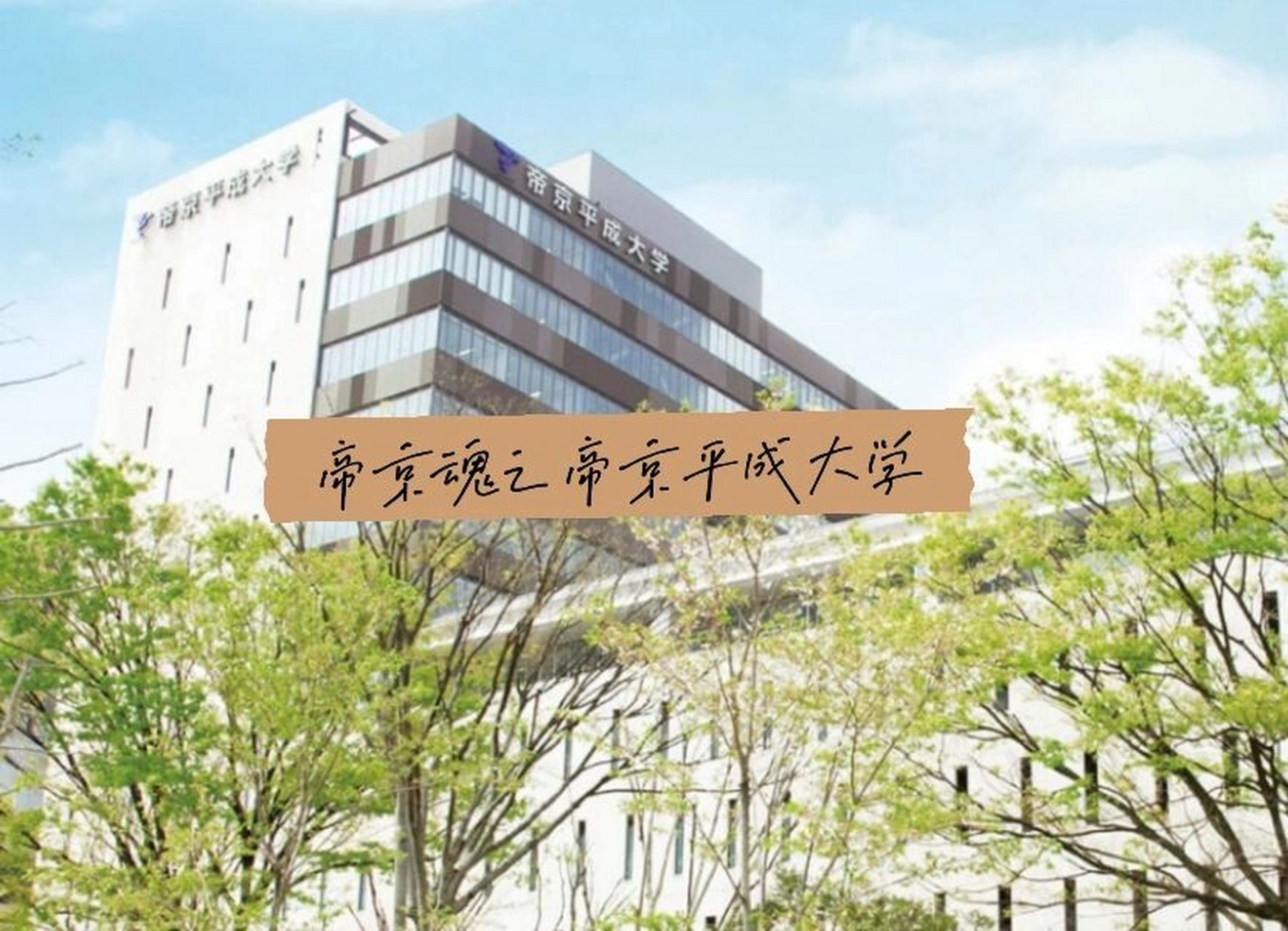 帝京平成大学图片