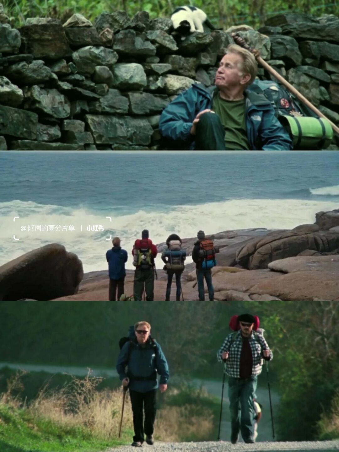 《朝圣之路》 the way