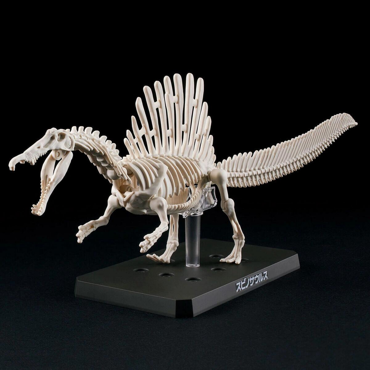 模型介绍 | 恐龙之王肉食巨兽棘龙霸气登场!