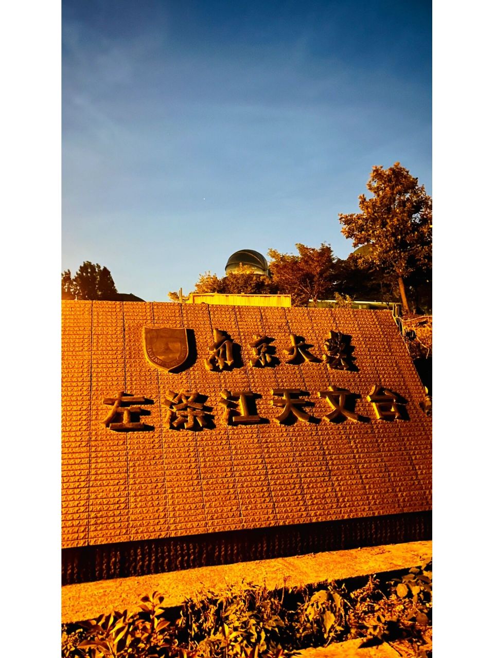 成功打卡国立中央大学 看xhs上有人说南大校庆日访客可以刷身份证直接