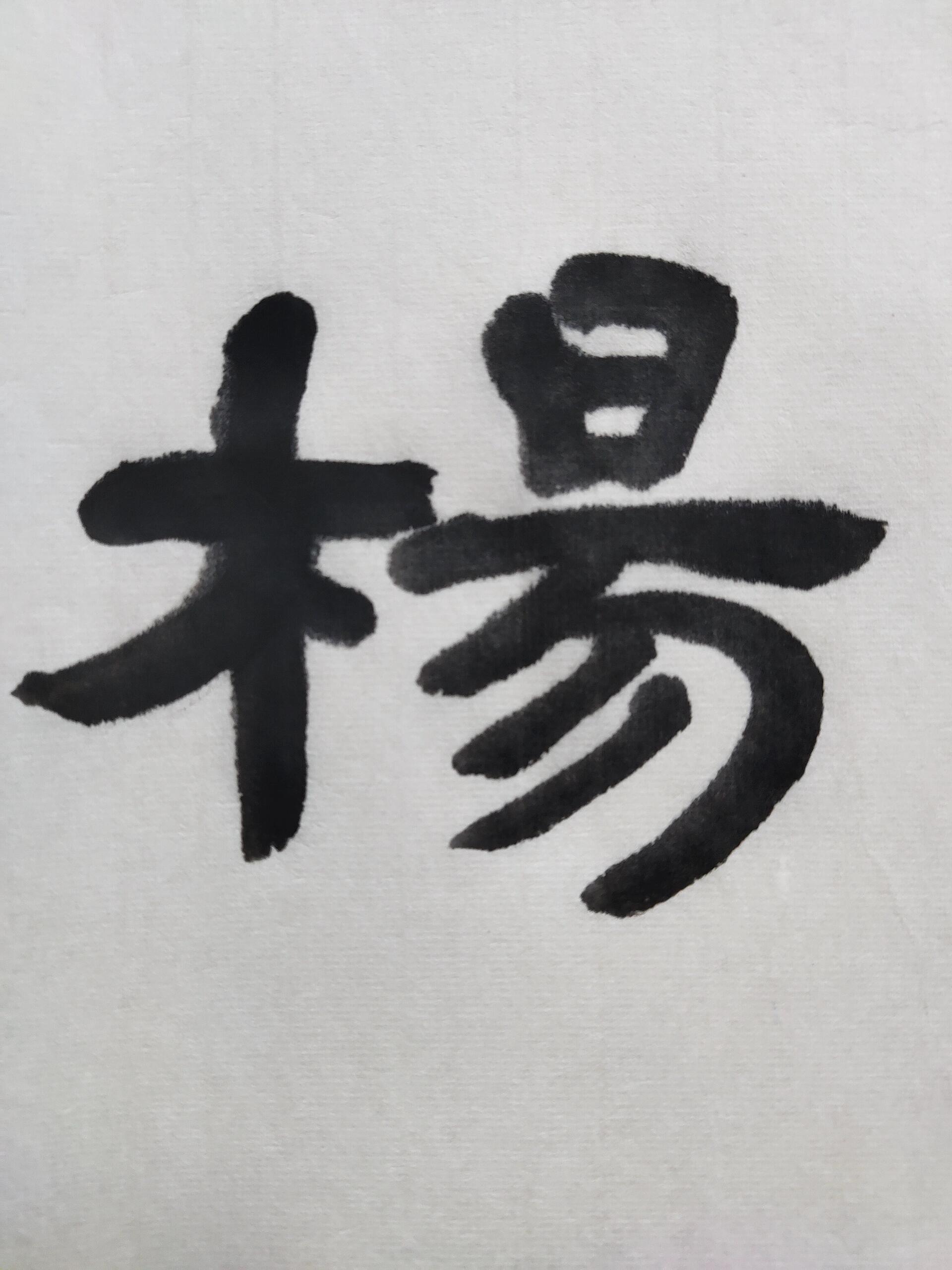 杨姓有哪些著名人物?请你一一道来!