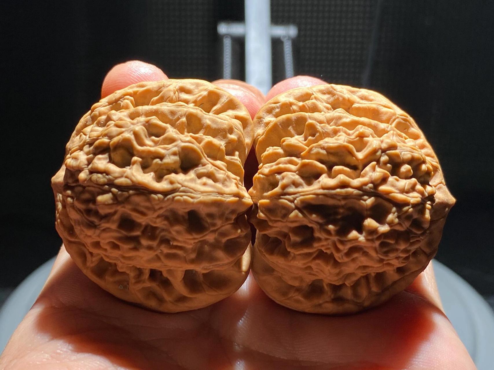 手汗大玩什么核桃不走酱717515 霞云岭狮子头也是一款以产地