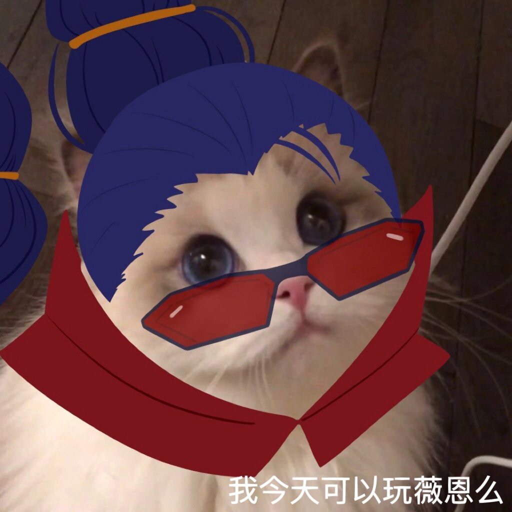 关于英雄联盟的一些表情包(五)adc篇