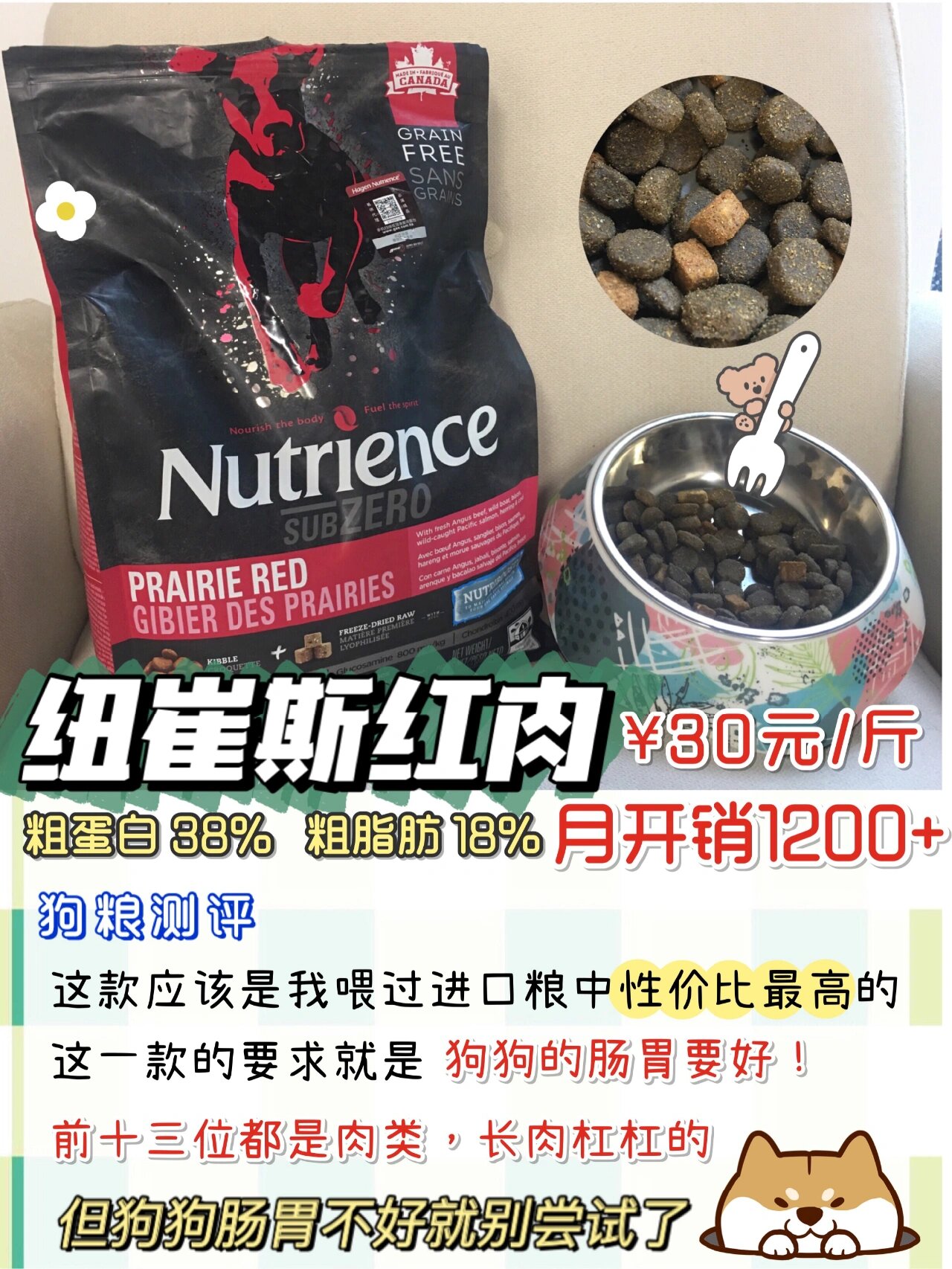 月均1k左右的狗粮横测|萨摩耶狗粮推荐