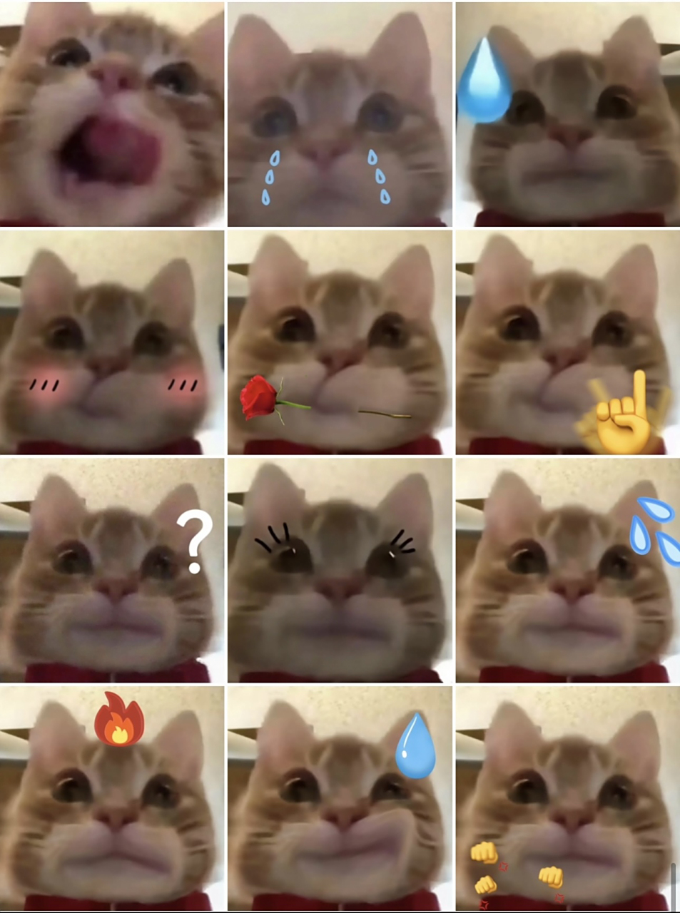 歪嘴小猫表情包哈哈哈哈!97 好可爱呀