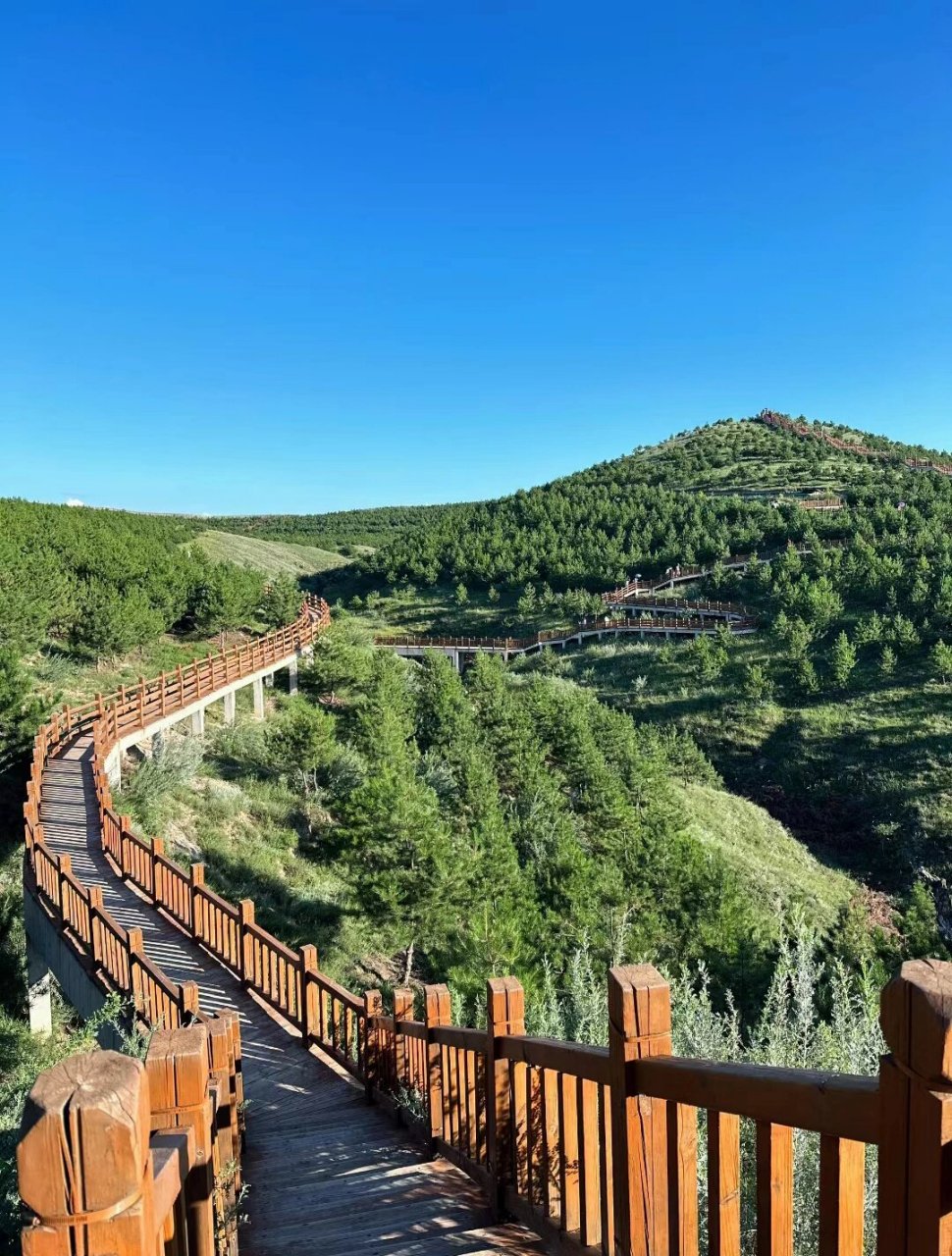 大同火山群国家地质公园半日游 (大同火山地质国家公园)绝对是一个鲜