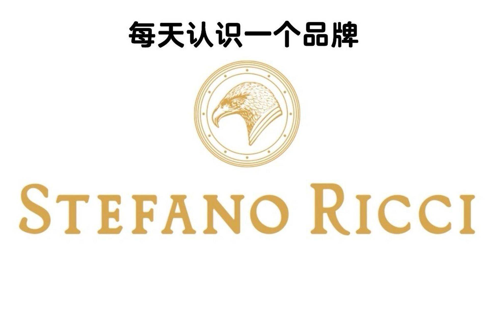 stefano ricci男装品牌仅服务那些在全球处于金字塔塔尖的消费者,该