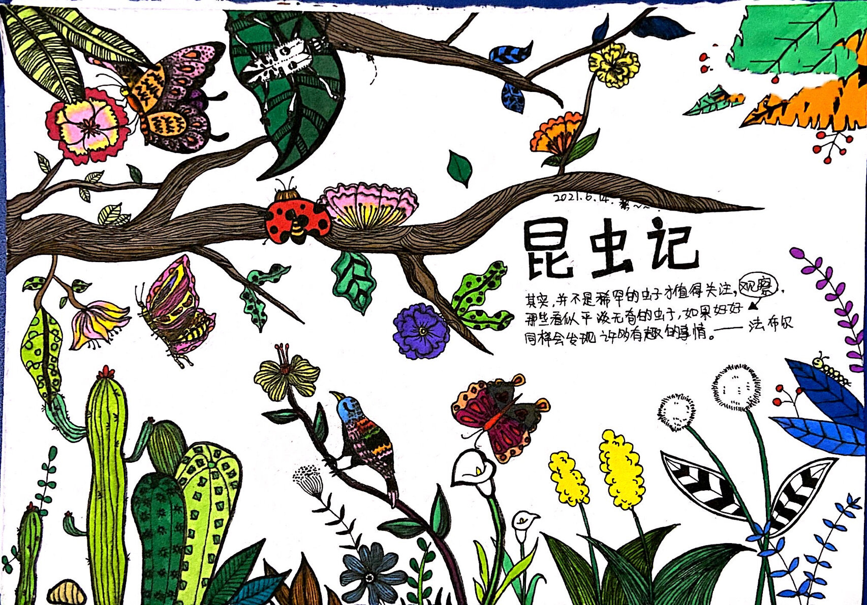 马克笔创意线描画《昆虫记94》