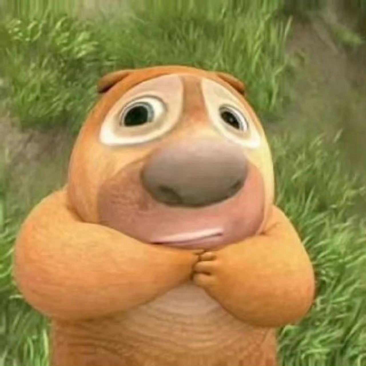 熊二头像 熊二憨憨傻傻超可爱!