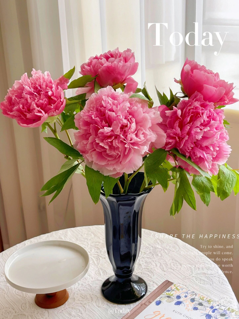 素边掩绝色,亦是牡丹开 | 珊瑚台牡丹 花花印象 珊瑚台牡丹开放度极高