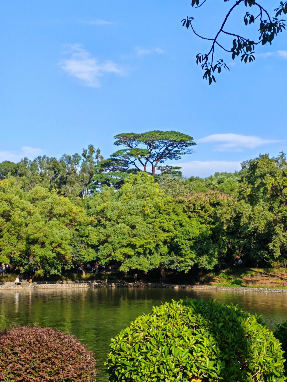 天河公园相亲角 天河公园相亲角,我算是见识到了