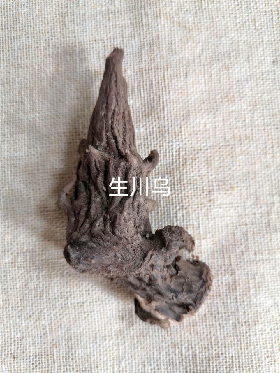 乌头汤→四肢→关节