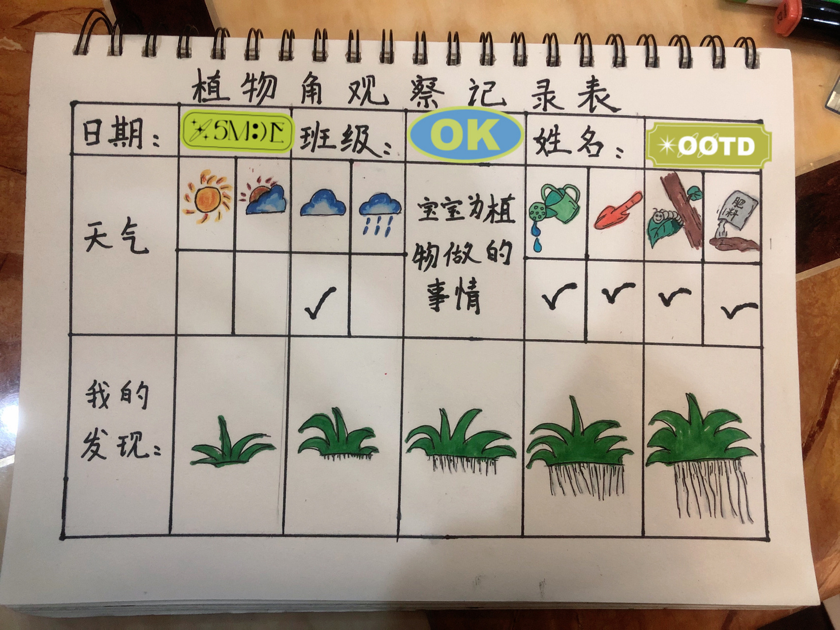 二年级植物观察记录表(二年级植物观察记录表 仙人掌)