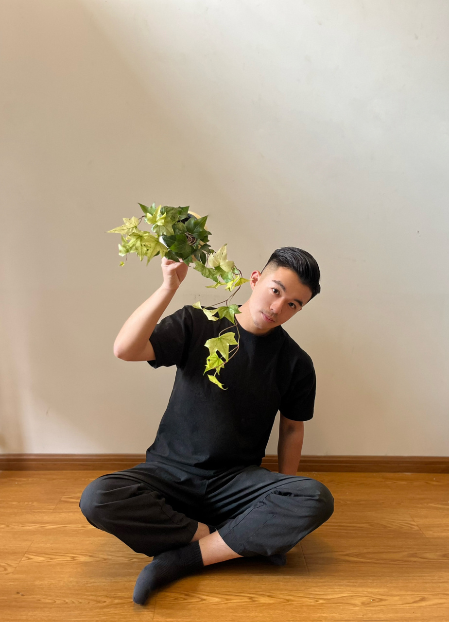 美丽的小众常春藤不止有雪莹00|白色枫叶 今年出过的常春藤里最爱的