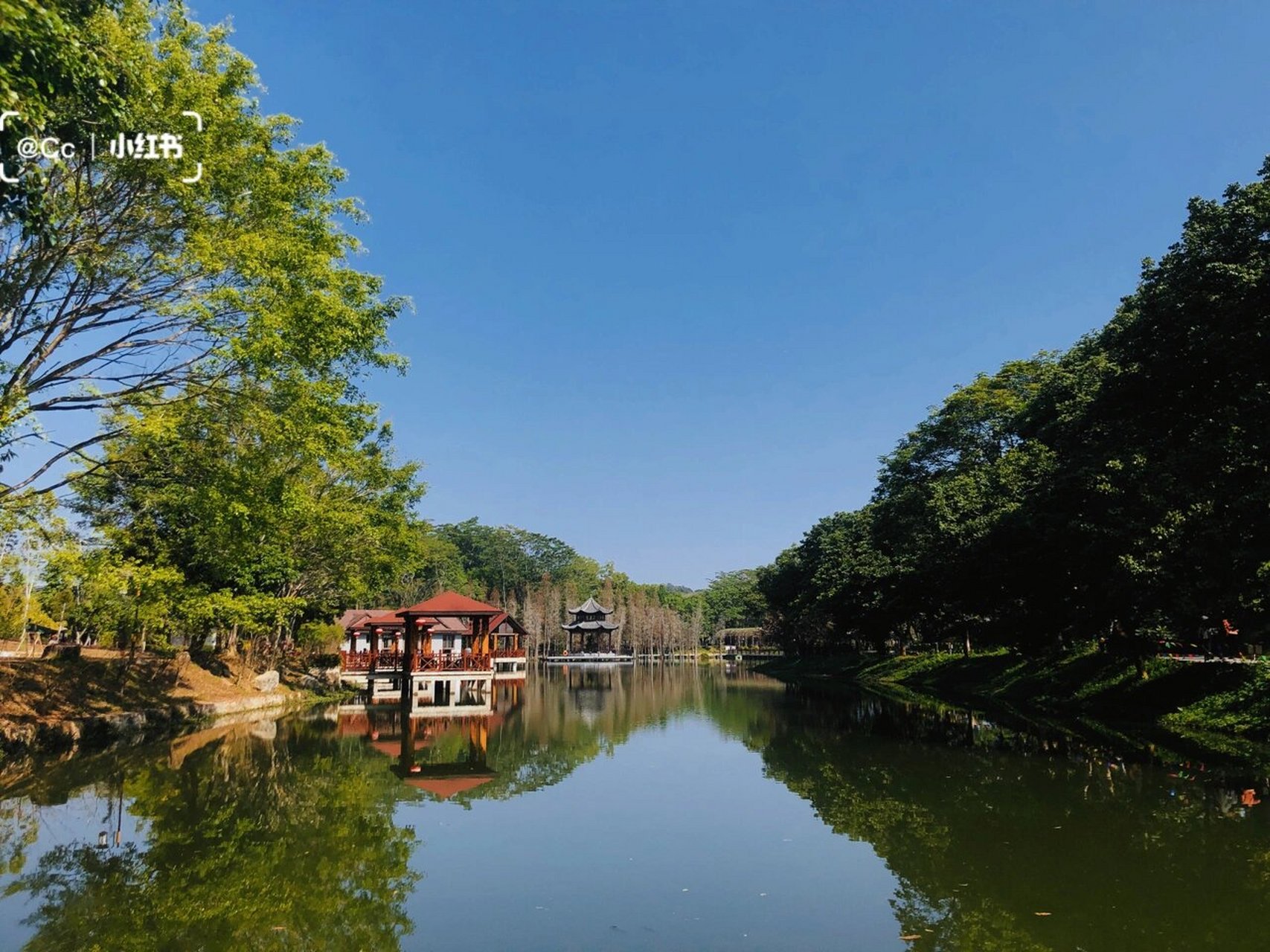 潮州周边游 | 饶平·绿岛山庄72 时隔多年重游小时候春游的地方