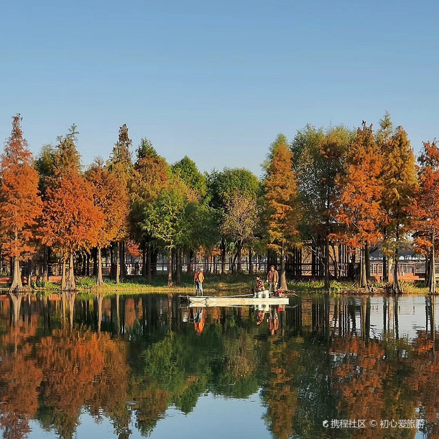 贡湖湾湿地公园介绍图片